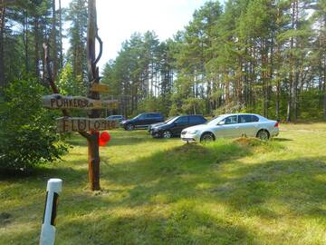 Фотографии Кемпинги Elulõng Camping г. Lohusuu (Эстония) №1 Фото Кемпинги Elulõng Camping г. Lohusuu 1