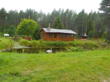 Фотографии Кемпинги Elulõng Camping г. Lohusuu (Эстония) №2 Фото Кемпинги Elulõng Camping г. Lohusuu 2